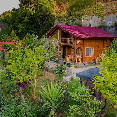 Dere Evi Διαμέρισμα Ριζούντα Εξωτερικό φωτογραφία