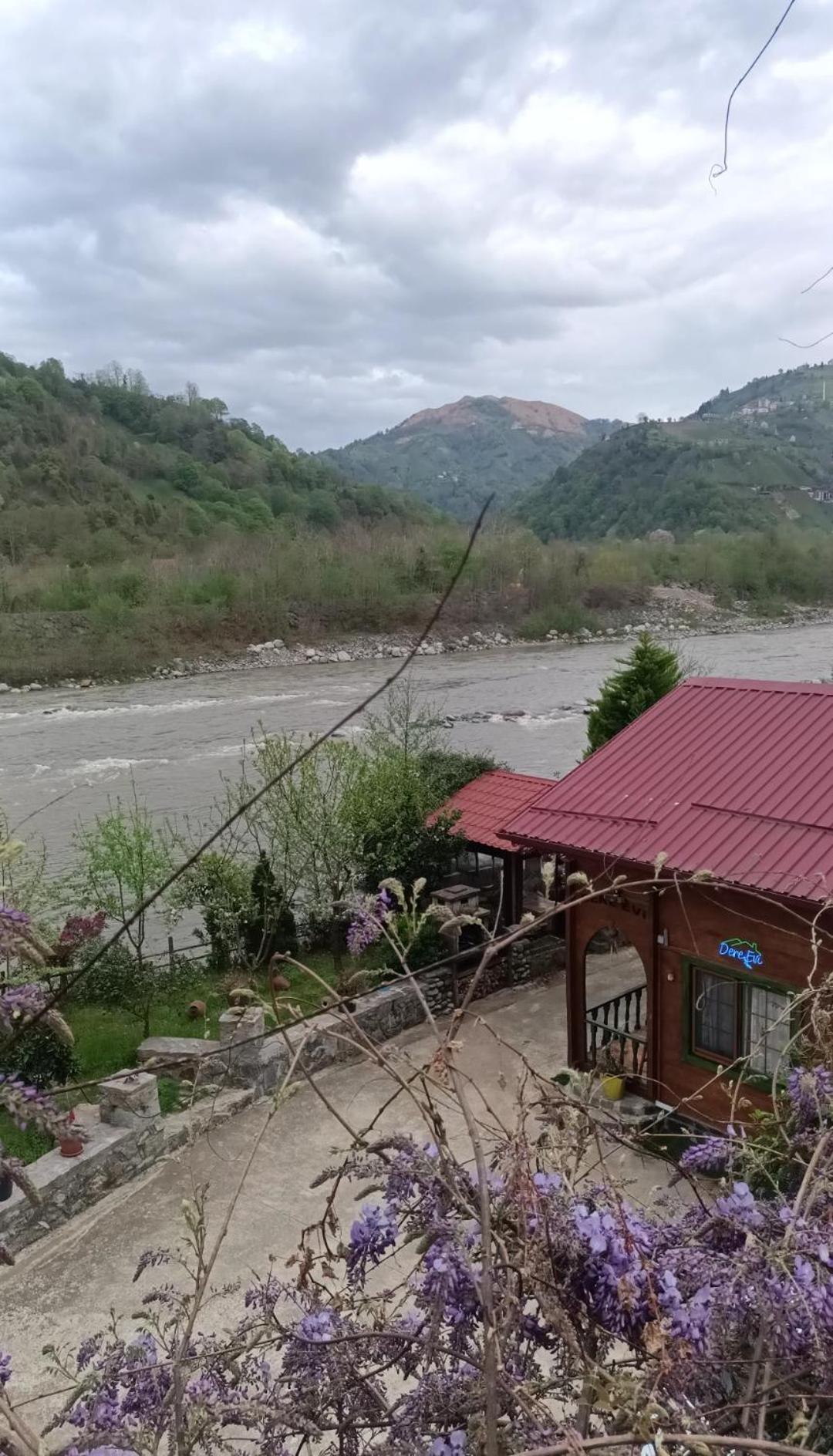 Dere Evi Διαμέρισμα Ριζούντα Εξωτερικό φωτογραφία